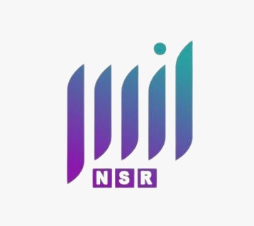NSR International IT Company